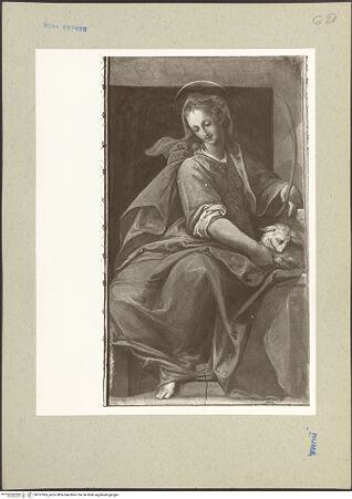 Vorderseite von bh167065_recto