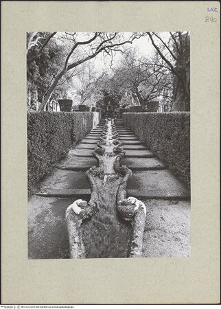 Vorderseite von bh167235_recto