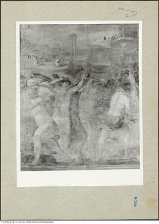 Vorderseite von bh167256_recto