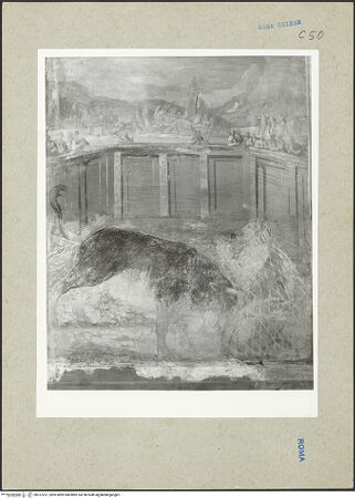 Vorderseite von bh167257_recto