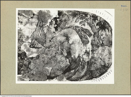 Vorderseite von bh167602_recto