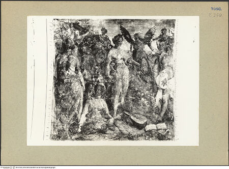 Vorderseite von bh167605_recto