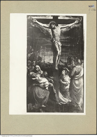 Vorderseite von bh167621_recto