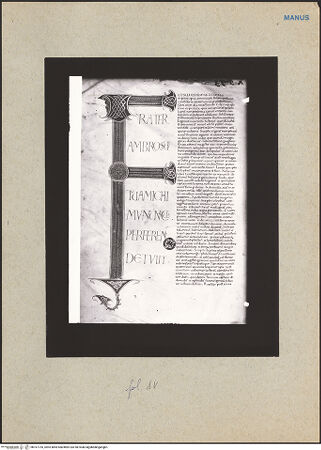 Vorderseite von bh167735_recto