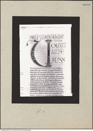 Vorderseite von bh167737_recto