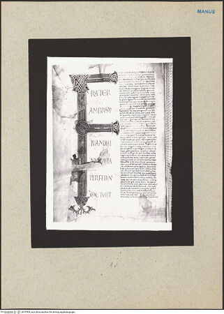 Vorderseite von bh167804_recto