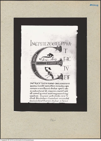 Vorderseite von bh167810_recto