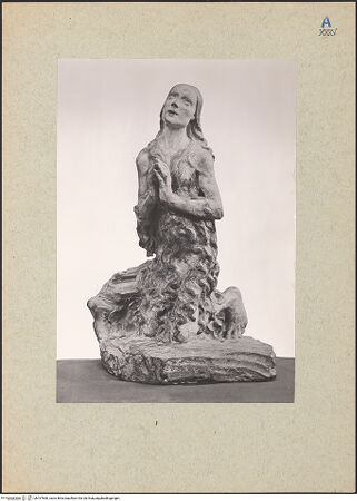 Vorderseite von bh167880_recto