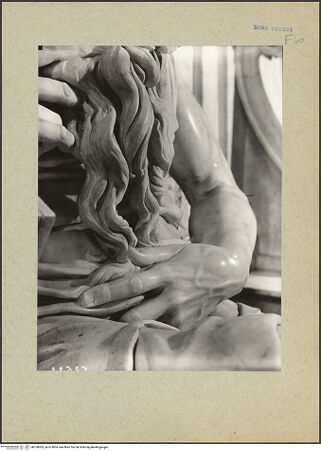 Vorderseite von bh168003_recto