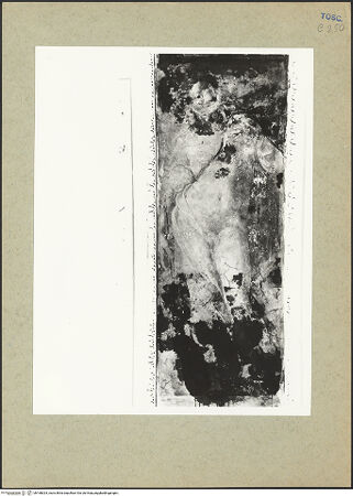 Vorderseite von bh168024_recto