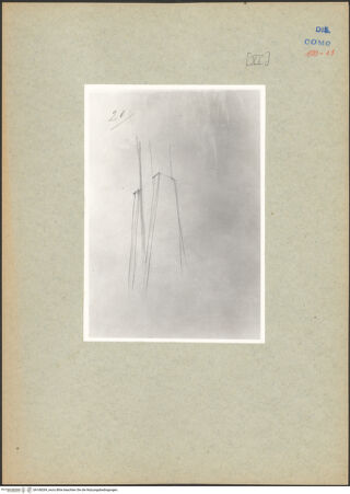 Vorderseite von bh168269_recto