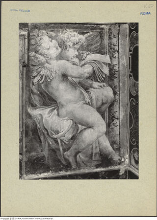 Vorderseite von bh168796_recto