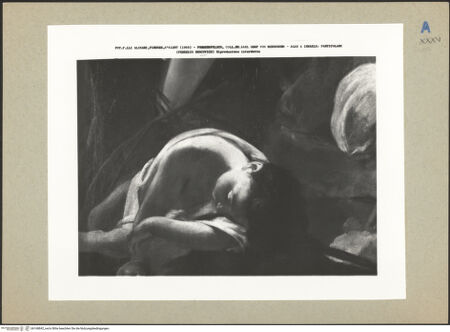 Vorderseite von bh168842_recto