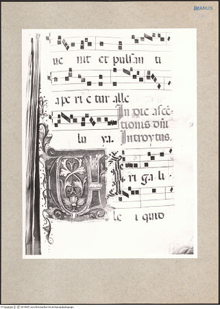 Vorderseite von bh169487_recto