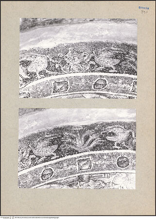 Vorderseite von bh169625_bh169626_recto