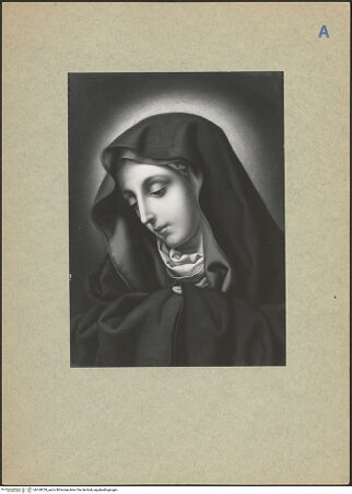 Vorderseite von bh169729_recto