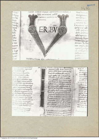 Vorderseite von bh170146_bh170147_recto