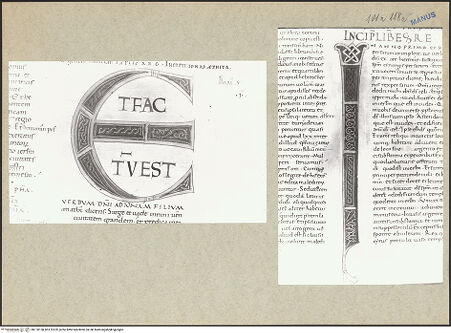 Vorderseite von bh170158_bh170159_recto