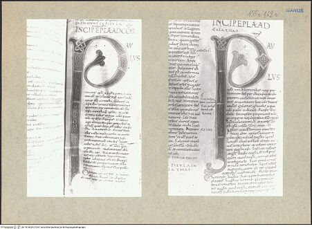 Vorderseite von bh170166_bh170167_recto