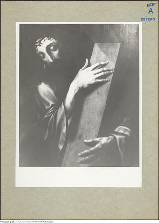 Vorderseite von bh170294_recto