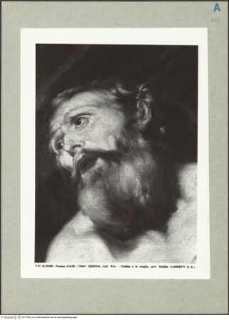 Vorderseite von bh170445_recto