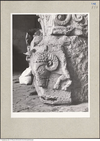 Vorderseite von bh170483_recto