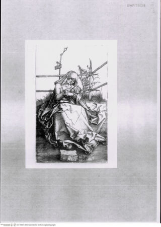 Vorderseite von bh170667x