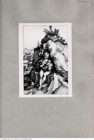 Vorderseite von  [http://creativecommons.org/publicdomain/mark/1.0/] Säugende - , bh170741. Foto.