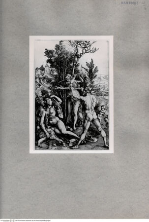 Vorderseite von  [http://creativecommons.org/publicdomain/mark/1.0/] Herkules (Eifersucht) - , bh170749. Foto.