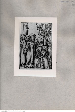 Vorderseite von  [http://creativecommons.org/publicdomain/mark/1.0/] ... - , bh170988. Foto.