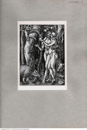 Vorderseite von  [http://creativecommons.org/publicdomain/mark/1.0/] ... - , bh171123. Foto.