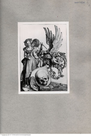 Vorderseite von  [http://creativecommons.org/publicdomain/mark/1.0/] Das Wappen mit dem Totenkopf - , bh171156. Foto.