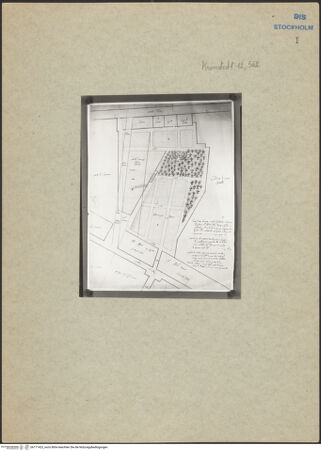 Vorderseite von bh171423_recto