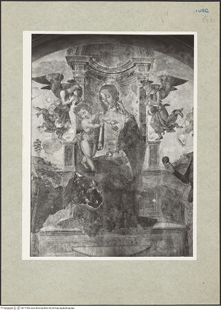 Vorderseite von bh171509_recto