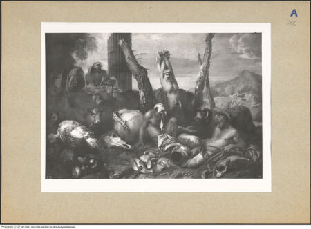 Vorderseite von bh172037_recto