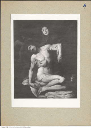 Vorderseite von bh172038_recto