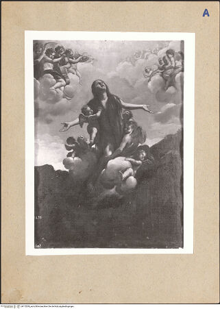 Vorderseite von bh172039_recto