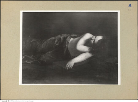 Vorderseite von bh172075_recto