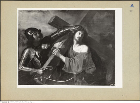 Vorderseite von bh172084_recto