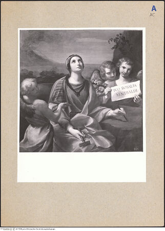 Vorderseite von bh172089_recto