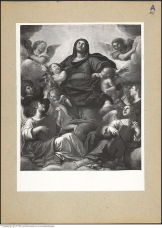 Vorderseite von bh172091_recto