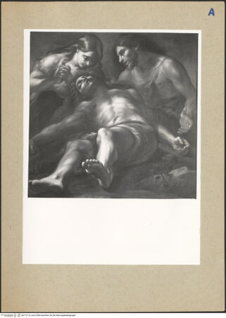 Vorderseite von bh172116_recto