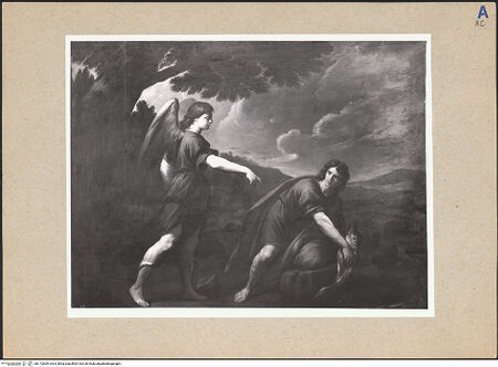 Vorderseite von bh172669_recto