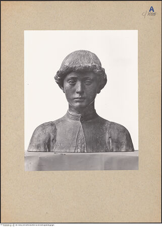 Vorderseite von bh173066_recto