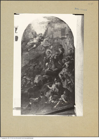 Vorderseite von bh173304_recto