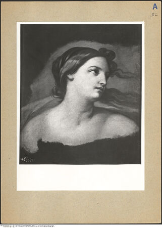 Vorderseite von bh173505_recto