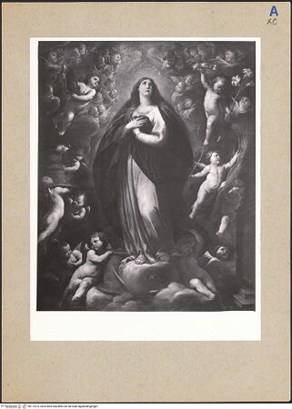 Vorderseite von bh173514_recto