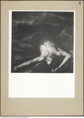 Vorderseite von bh173516_recto