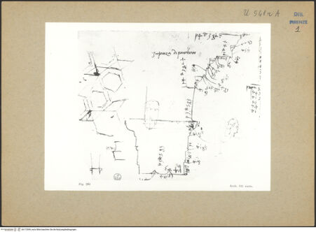 Vorderseite von bh173599_recto