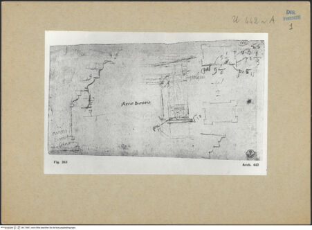 Vorderseite von bh173601_recto